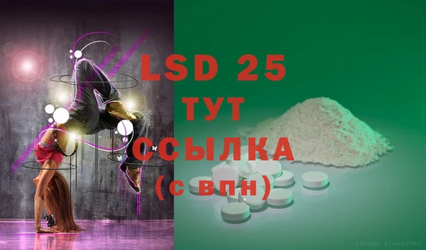 PSILOCYBIN Лабытнанги