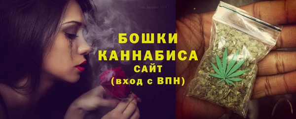 шишки Ладушкин