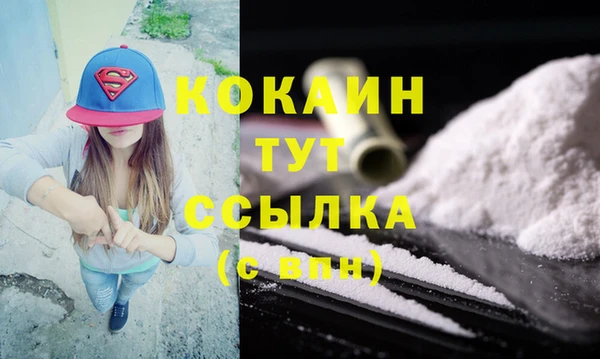 шишки Ладушкин